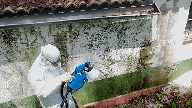 Top rated local Mold Testing specialists in Wrightsville, PA